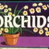 Orchids sign for The Natural Garden plant store - Gt. Barrington, MA
