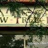 Willow Tree Fabrics sign - Trumansburg, NY